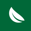 gum tree leaf icon